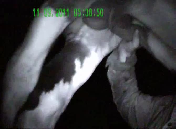Video :Kinky dude visiting the farm late at night to jack off horse